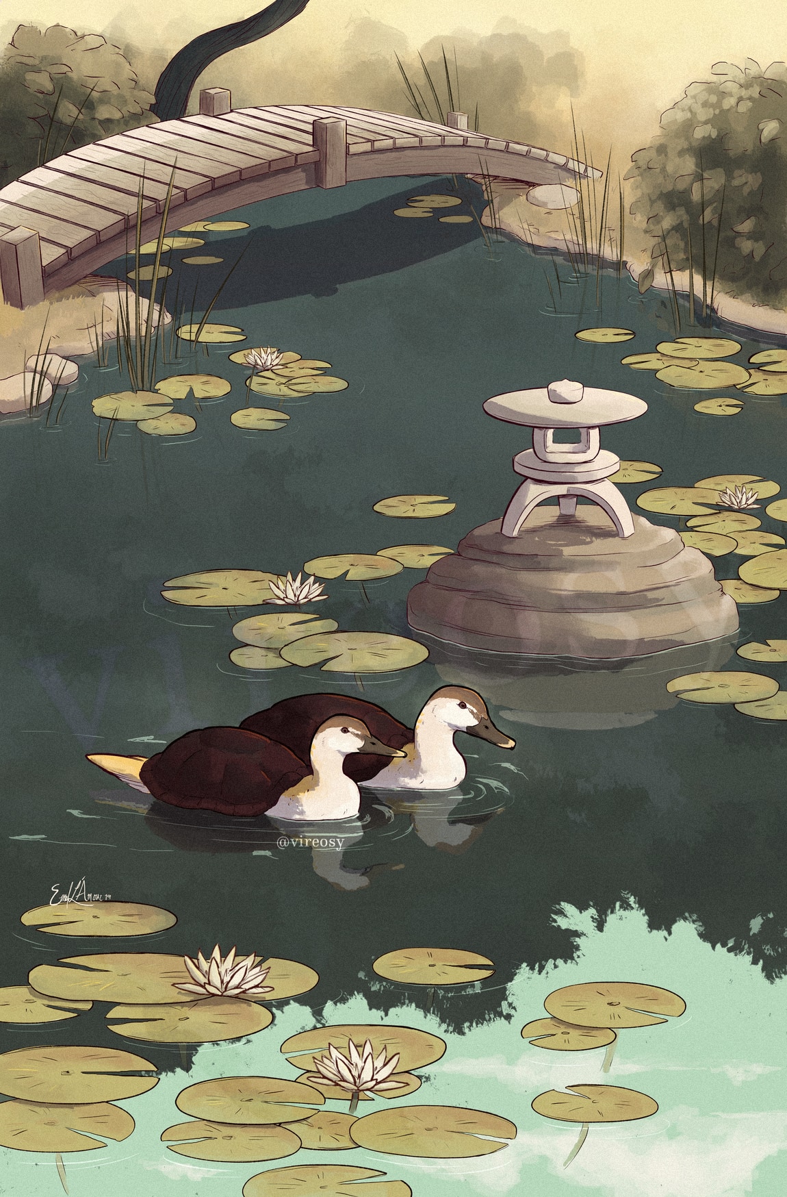 Illustration of a garden pond from Avatar: The Last Airbender featuring a pair of swimming turtleduck.