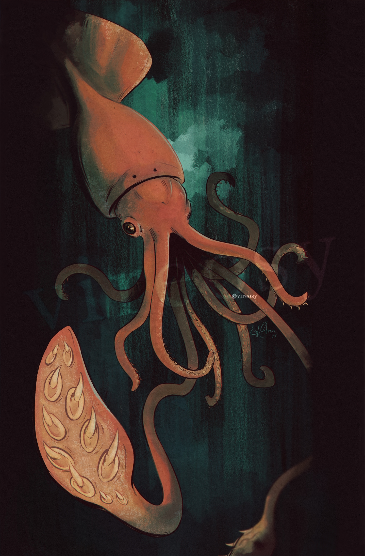 Illustration of a colossal squid.